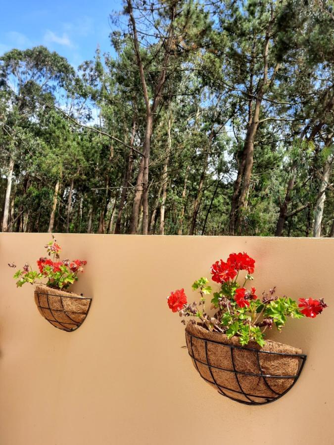 Smiling Places - Guest House In Лабруж Екстериор снимка